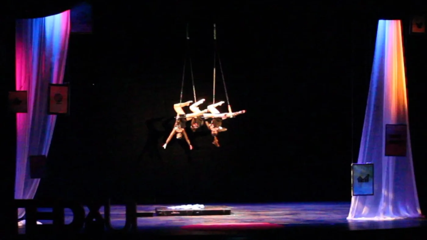 Gainesville Circus Center, business photo 2