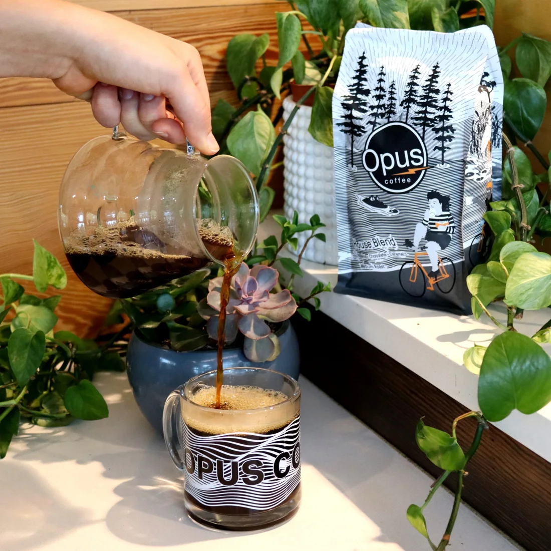Opus Coffee, business photo 2